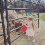 Cord McCoy Instagram – Neither one of them care about the gold buckle, the money, or the TV.
Just Livin Life! 🤠 🐮 MCCOY RANCH
