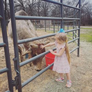 Cord McCoy Instagram - Neither one of them care about the gold buckle, the money, or the TV.
Just Livin Life! 🤠 🐮
