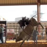 Cord McCoy Instagram - I17 Ridin Salty @mccoy_ranch / @drinklmnt Wall Street Ranch