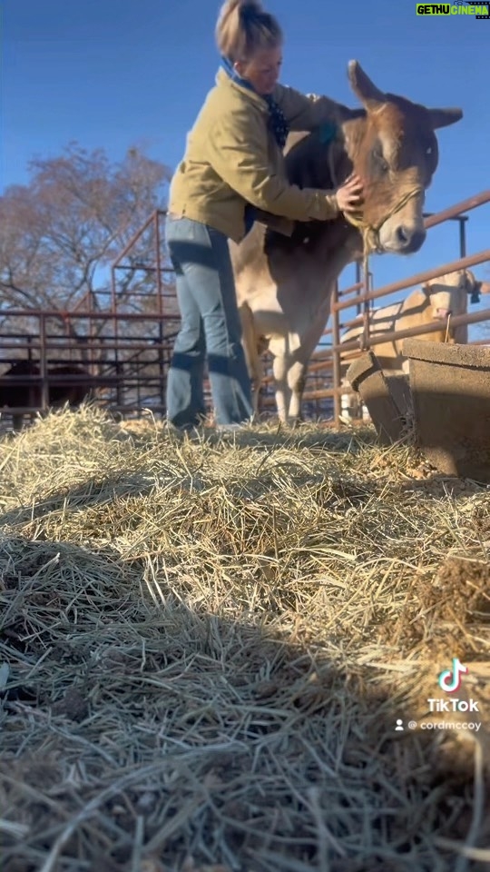 Cord McCoy Instagram - Monday Solo & Sara MCCOY RANCH