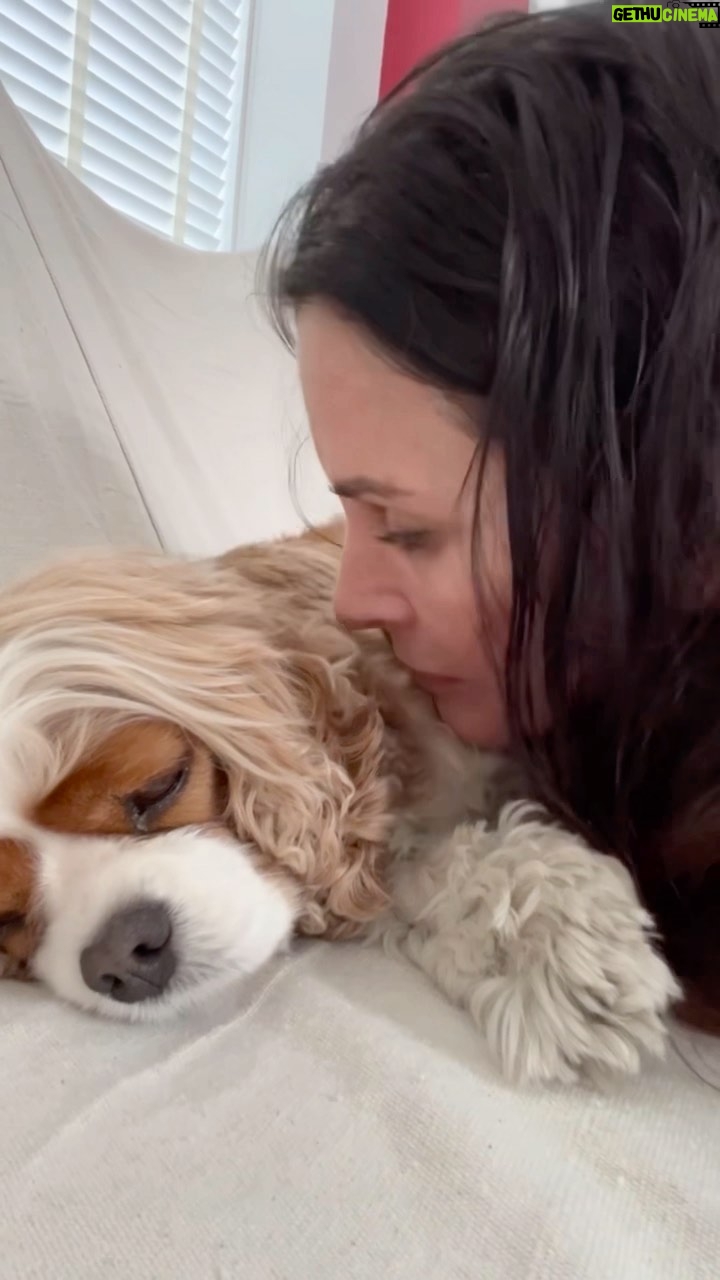 Courteney Cox Instagram - Dirty dog in Montréal 🐶🐾