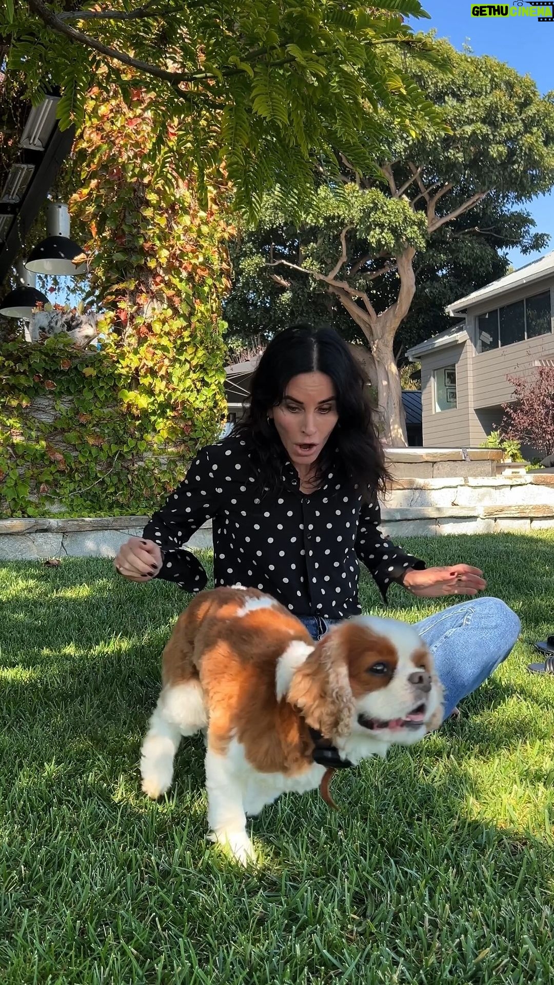 Courteney Cox Instagram - I can run fast 😏