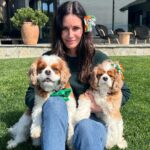 Courteney Cox Instagram - I think they started 🍻a little too early. Missing my very Irish Jmd 💚💚💚 Happy St. Patrick’s Day!