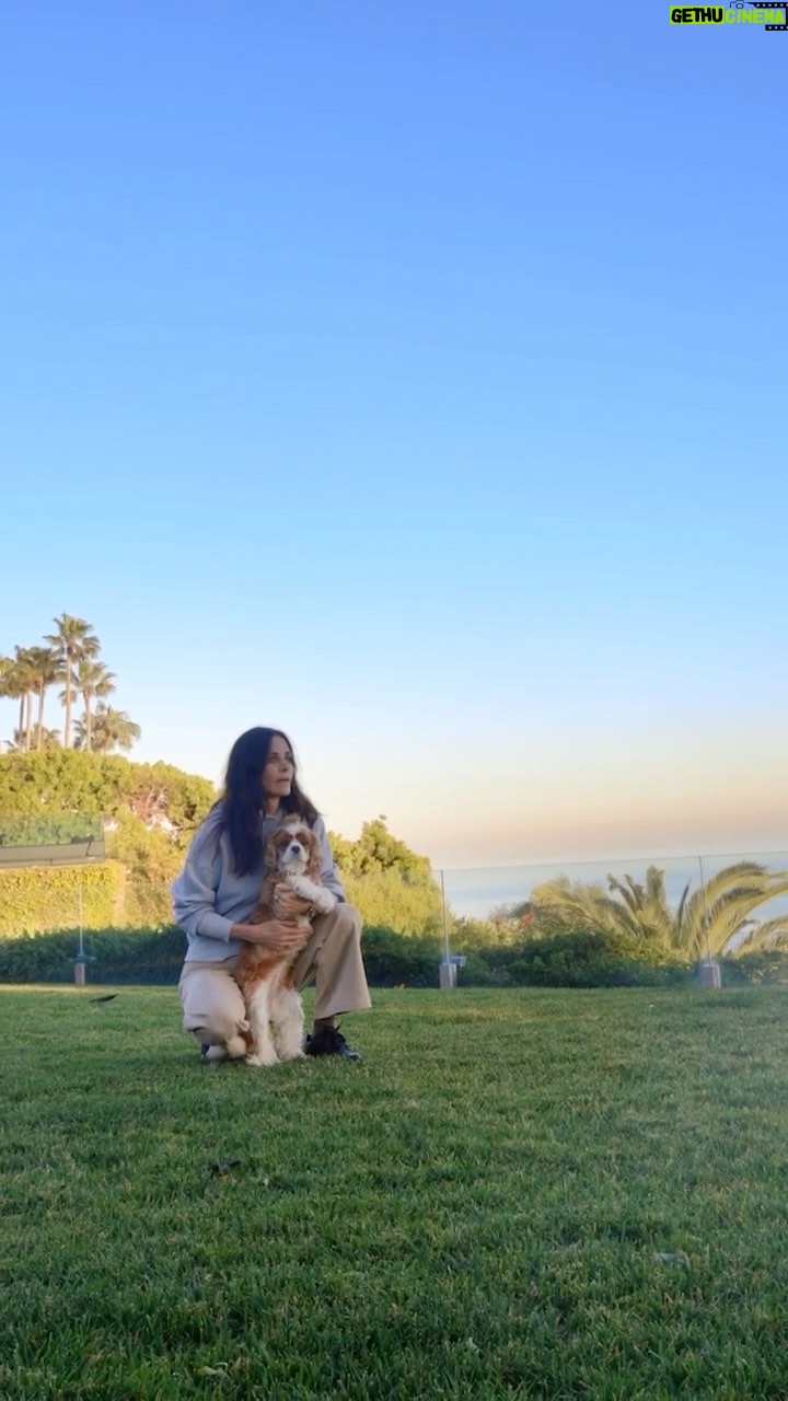 Courteney Cox Instagram - Careful what you feed them