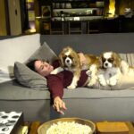 Courteney Cox Instagram - Gotta put me first *no dogs were harmed in the making of this video.