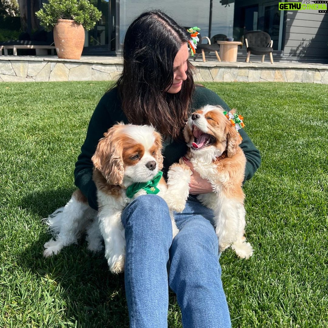 Courteney Cox Instagram - I think they started ๐ปa little too early. Missing my very Irish Jmd ๐๐๐ Happy St. Patrickโs Day!