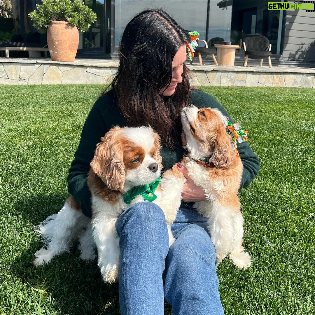 Courteney Cox Instagram - I think they started ๐ปa little too early. Missing my very Irish Jmd ๐๐๐ Happy St. Patrickโs Day!