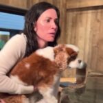 Courteney Cox Instagram – Finally getting used to the LA rain