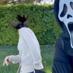 Courteney Cox Instagram – Little f**ker keeps coming back