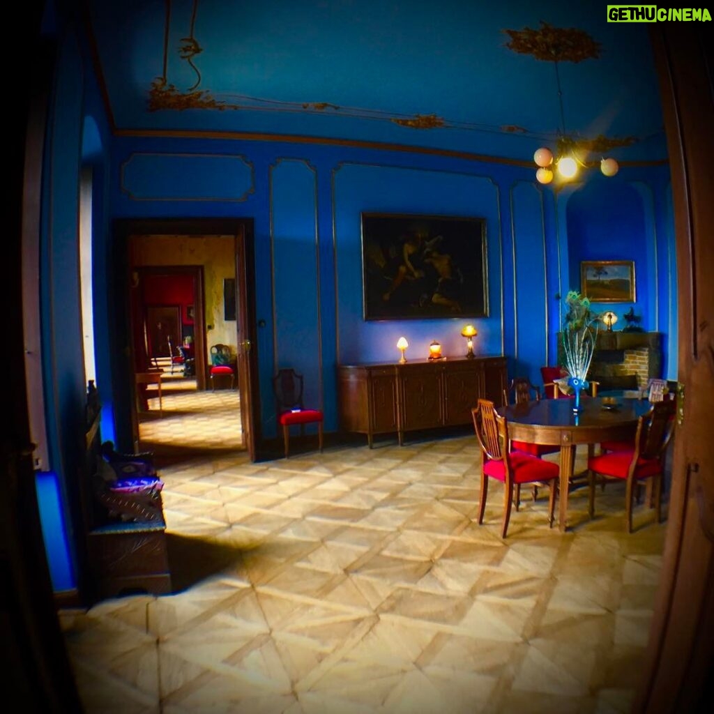 Crispin Glover Instagram - Facing the opposite direction from previous photo turning away from the master bedroom one faces the blue salon in the master apartments. Zamek Konarovice Czech Republic