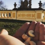 Crispin Glover Instagram – Feeding my peacock friend more raw cashews in the parterre at Zamek Konarovice Czech Republic