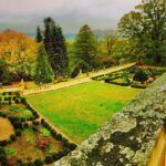 Crispin Glover Instagram – Three peafowl stand in the balustrade of the parterre overlooking the park at Zamek Konarovice Czech Republic