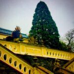 Crispin Glover Instagram – A peahen flies above the balustrade, stairs, and statues below the parterre. Zamek Konarovice Czech Republic