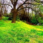 Crispin Glover Instagram - Zamek Konarovice from a slightly different perspective from above the lower pond. Zamek Konarovice Czech Republic