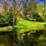 Crispin Glover Instagram - Zamek Konarovice from another perspective from the lower pond looking up. The photos will shift back inside but it is good to take diversions in to the park and gardens related to the views from inside. Zamek Konarovice Czech Republic