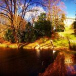 Crispin Glover Instagram - A wider photo looking back up from below the lower pond. Zamek Konarovice Czech Republic is visible between the trees