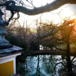 Crispin Glover Instagram - To the left of the previous photo is a point of view outside in the parterre garden clearer of both the upper and lower pond. Zamek Konarovice Czech Republic