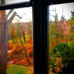 Crispin Glover Instagram - Photo through the window of the room in the previous two photos onto the upper pond and a part of the park. Zamek Konarovice Czech Republic