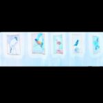 Crispin Glover Instagram - In the same hallway as the previous four photos, posted here, is a pan shot of bird portraits. Zamek Konarovice Czech Republic