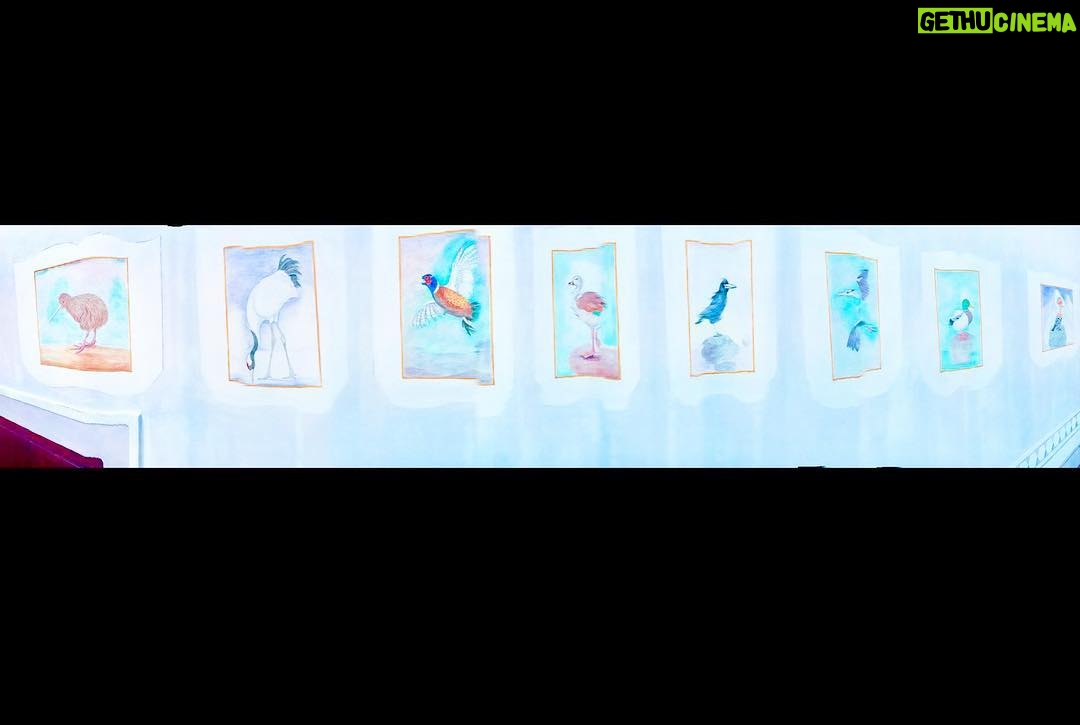 Crispin Glover Instagram - In the same hallway as the previous four photos, posted here, is a pan shot of bird portraits. Zamek Konarovice Czech Republic