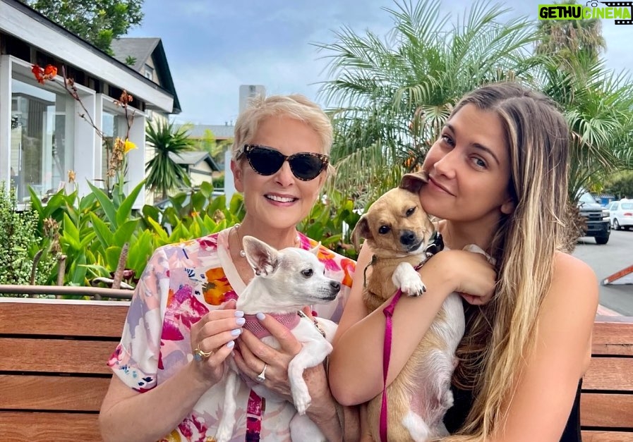 Cristina Ferrare Instagram - It’s International Dog Week!!! My grand pups @tatertot__thedog & @otisdcooks @ariannasalyards_ and I took them for a #pupacinno to celebrate!!! They bring nothing but pure love and joy into our lives!! Both Tater Tot & Otis are rescue pups! #loveleorescue #dogslife #dogsofinstagram #dogs #rescuepup #recuedogsrock #recuedogs #love