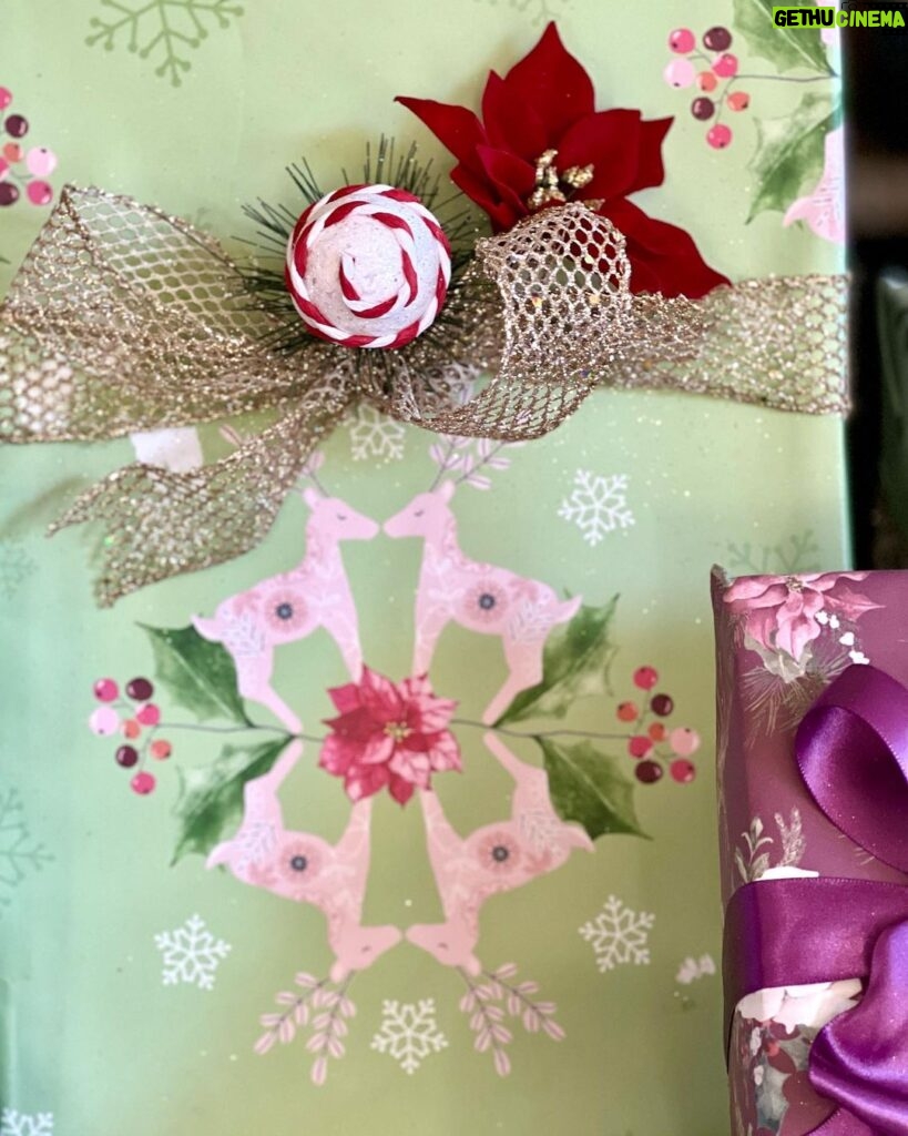 Cristina Ferrare Instagram - This Christmas gift wrapping paper is not only festive and beautiful but magical! @ariannasalyards_ and I will demonstrate what I’m talking about about in todays post! #christmas #merrychristmas #christmaswrappingideas #christmasiscoming #christmassrapping #christmassrap #holiday #christmstime #christmaspaper #happyholidays