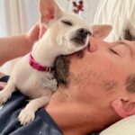 Cristina Ferrare Instagram - It’s International Dog Week!!! My grand pups @tatertot__thedog & @otisdcooks @ariannasalyards_ and I took them for a #pupacinno to celebrate!!! They bring nothing but pure love and joy into our lives!! Both Tater Tot & Otis are rescue pups! #loveleorescue #dogslife #dogsofinstagram #dogs #rescuepup #recuedogsrock #recuedogs #love