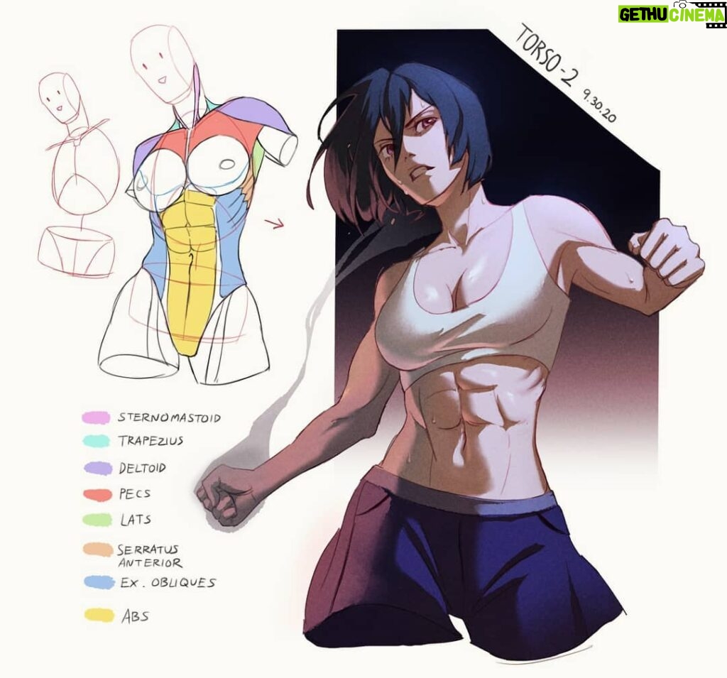 Curie Lu Instagram - MIKASA STrONK ...and a little more notes on torso. Obviously haven't studied pelvis face and arms yet, so there will be more inaccuracies there