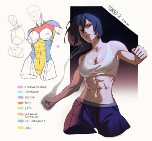 Curie Lu Instagram - MIKASA STrONK
...and a little more notes on torso.
Obviously haven't studied pelvis face and arms yet, so there will be more inaccuracies there