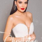 Cyrine Abdel Nour Instagram - عيد الميلاد عيد ولادة المسيح فلتكن ولادة جديدة للجميع مليانة فرح سلام ونور بقلوبنا #ميلاد_مجيد #سيرين_عبدالنور #سيرين_عبد_النور #cyrineabdelnour #merrychristmas 🎄🎅🏼🤍 Beirut, Lebanon
