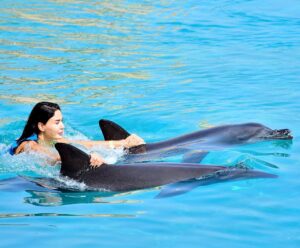 Cyrine Abdel Nour Instagram - كان نهار كتير حلو، تاليا وكريستيانو كتير انبسطو 🐬
شكراً لكل الاشخاص والمدربين يللي خلو هالنهار يكون مميز #دبي #سيرين_عبدالنور 
@aquaventuredubai @atlantisthepalm #dubai