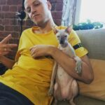 Ник Черников Instagram – Котаны-братаны) Ларсик возмужал! #сфинкс #кот #лысаябратва #мойпездюк