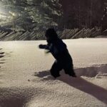 Déborah François Instagram – Givrée mais heureuse 🥶 Laponie