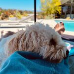 Désirée Nosbusch Instagram – Summer of ‘23 ☀️ Los Angeles, California