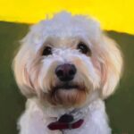 Désirée Nosbusch Instagram – Part 2: THE BIG FLUFF In case you’re also interested in getting a beautiful portrait of your best friend please contact my friend Saoirse @squeefox 🐶 @bowiebosef