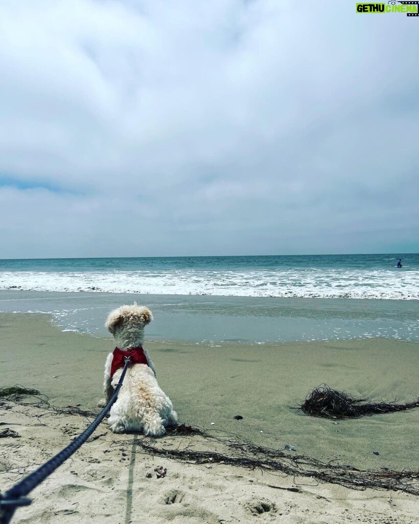Désirée Nosbusch Instagram - Out and about with my beach boy 🐾🌊 Santa Monica, California