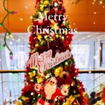 DJ Koo Instagram - 皆さん素敵なクリスマスWOW WOW KOOサンタのアクスタ！！KOO援団さんからクリスマスギフト！！ありがとうございます！！ #クリスマス #KOO援団 #DJKOO