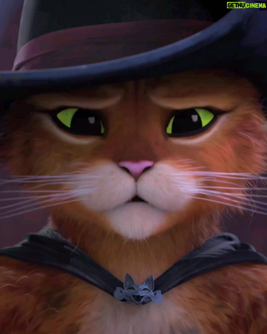 Da'Vine Joy Randolph Instagram - I've had the distinguished honor to be apart of the @dreamworks family for over 5 years. A childhood dream come true. But THIS one takes the cake! Puss In Boots: The Last Wish is coming to theaters this Christmas!