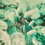 DaYuan Lin Instagram - 要是能在分離前就學會 好好珍惜 好好感受當下就好了 只可惜 永遠學不會😂 但願在剩下的時間裡 都能繼續用心感受❤️ (反省也要持續存在_ 很開心沛沛在受到刺激後 終於勇敢說出她的真心 好險是在宇軒離開之前 剩下的日子裡 好好享受一切吧🥹 #門當互懟愛上你 #倒數計時中 😭