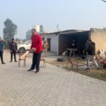 Dalip Singh Instagram -