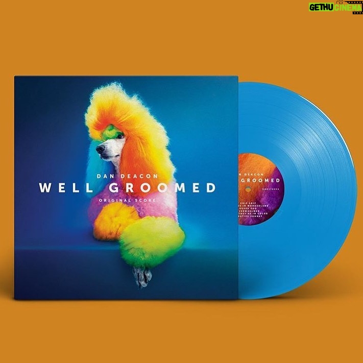Dan Deacon Instagram - The vinyl for Well Groomed is finally out today! Thank you to everyone who preordered! Thank you to all of you who are postordering now! DOG