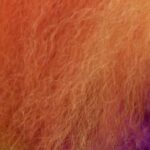 Dan Deacon Instagram – Nice reviews today from @indiewire & @pitchfork for my score to Well Groomed! 🟡Links in bio 🟢IndieWire is premiering a new video to Snip Snip, the first track off the album 🔵 And I believe this is my highest rated album from Pitchfork since 2009s Bromst🟠There are still preorder copies left so gettem now 🔴 Rainbow Dogs
