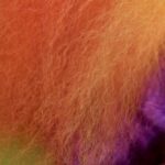 Dan Deacon Instagram – Hi! WELL GROOMED Original Score is out today!🟢You can stream it everywhere and pre-order the limited edition sky blue vinyl now! 🔵You can watch a new music video to Adriane In Wonderland now too! 🟡Links for all in bio!

The ensemble for the recordings is:
Rod Hamilton, vibraphone @bamboowaterfall 🟣
Rich O’Meara, vibraphone @richomarimba 🟠
Shelly Purdy, glockenspiel @shellypurdy 🟢
Martin Schmidt, piano🔴
Steve Strohmeier, electric guitar🔵
Recorded at Tempo House @tempo_house_recording 🟡
Engineered by Craig Bowen🟤
Artwork by Joakim Karlsson🟠
Layout by Rob Carmichael, SEEN @seenstudio 🟡
Mastered by Heba Kadry @heba_kadry 🔵

@wellgroomedmovie Film written and directors by Rebecca Stern @bcstern. Film Produced by Rebecca Stern, Justin Levy, Matthew C Mills Rainbow Dogs