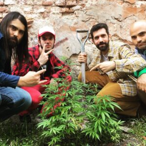 Daniel Hendler Instagram - “Los demonios” cuidan la planta. 
Pero sobretodo cultivan la amistá ✊🏾
—-
NUEVA SERIE (comedia rock) ACÁ :
➡️ http://un3.tv/programas/los-demonios/