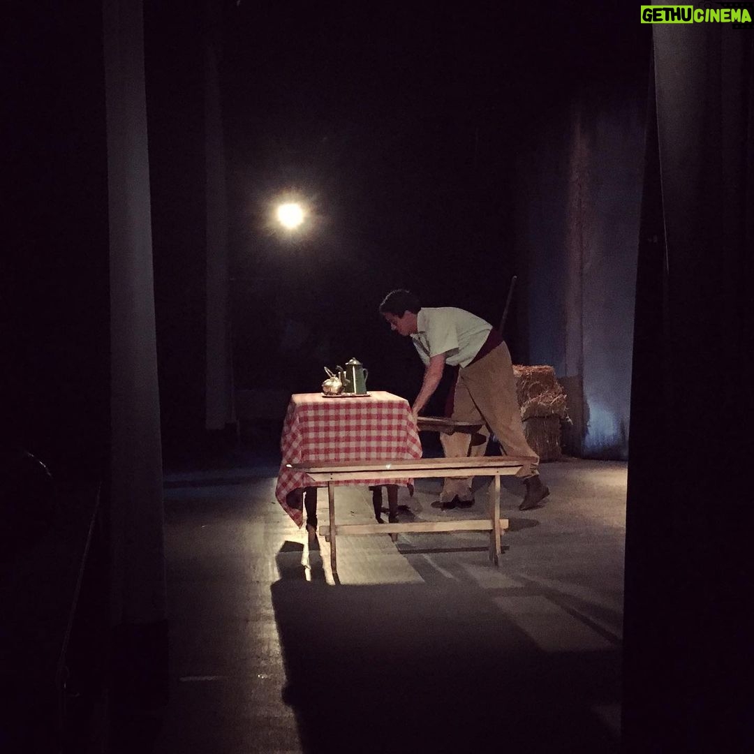 Daniel Hendler Instagram - Inolvidable experiencia la de “Pájaro de barro”. El texto, el equipo, el teatro, el Elenco ✊🏾💚
