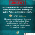 Daniel Lévi Instagram - Chers amis, Mon mari Daniel Haim ben Sarah a besoin de tephilots (prières) Je compte sur vous 🙏🏻❤️ Sandrine #Repost @torahbox26 . . . Chers amis du monde entier, Notre ami, le chanteur Daniel Lévi a plus que jamais besoin de nos prières pour guérir, maintenant ! Le temps est compté, mobilisons-nous et agissons immédiatement. Nous demandons à toutes les femmes de faire la Mitsva de Hafrachat ‘Hala (prélèvement de la pâte) pour les pains de ce Chabbath… dédiée pour sa guérison, suivie d'une prière du fond du coeur et un maximum de Téhilim (psaumes) récités pour remuer le Ciel. L’équipe Torah-Box Ressources : 🍞 Comment faire la Hafrachat ‘Hala ? https://torahbox.com/KJSZ 🙏 Son nom exact pour prier : Daniel ‘Haïm ben Sarah ⏭ PDF : liste exacte des 14 psaumes liés aux prénoms de Daniel Lévi : https://torahbox.com/UWUN