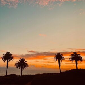Daniel Lissing Instagram - Moon-rise. Sunset. 🌕☀️