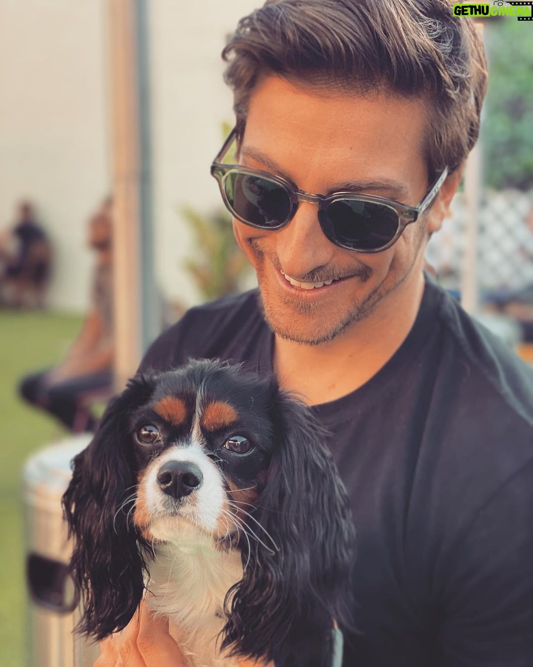Daniel Lissing - 36.6K Likes -