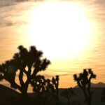 Daniel Lissing Instagram - 🌵❤️☀️ Joshua Tree, California
