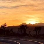 Daniel Lissing Instagram - 🌵❤️☀️ Joshua Tree, California
